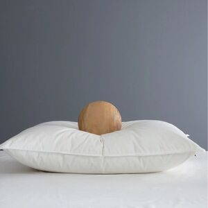 NWOT QUINCE Premium Down Pillow Firm King 4374